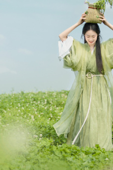 姑娘6电视剧免费观看